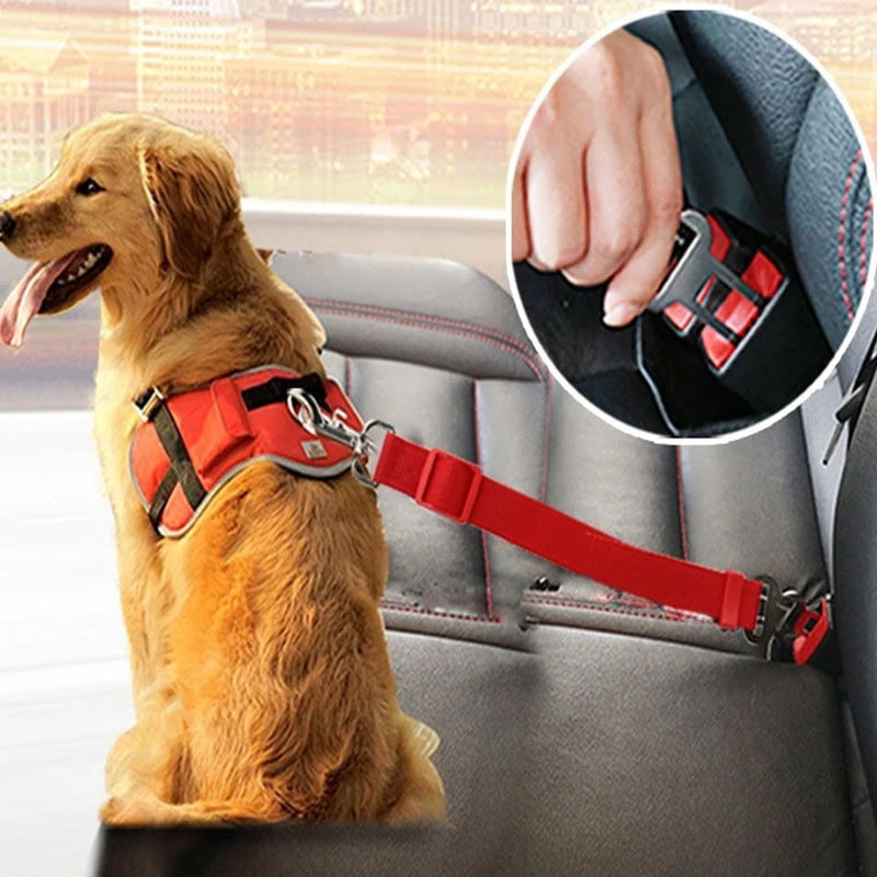 Adjustable Car Seat Belt