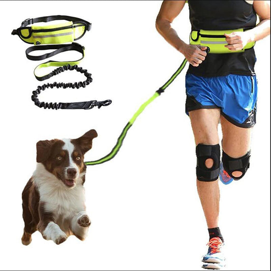 Hands Free Dog Leash Up To 180lbs Large Dogs Phone Pocket And Water Bottle Holder